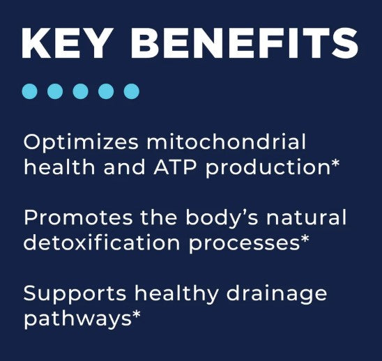 CellCore Biosciences Phase 1: Energy & Drainage