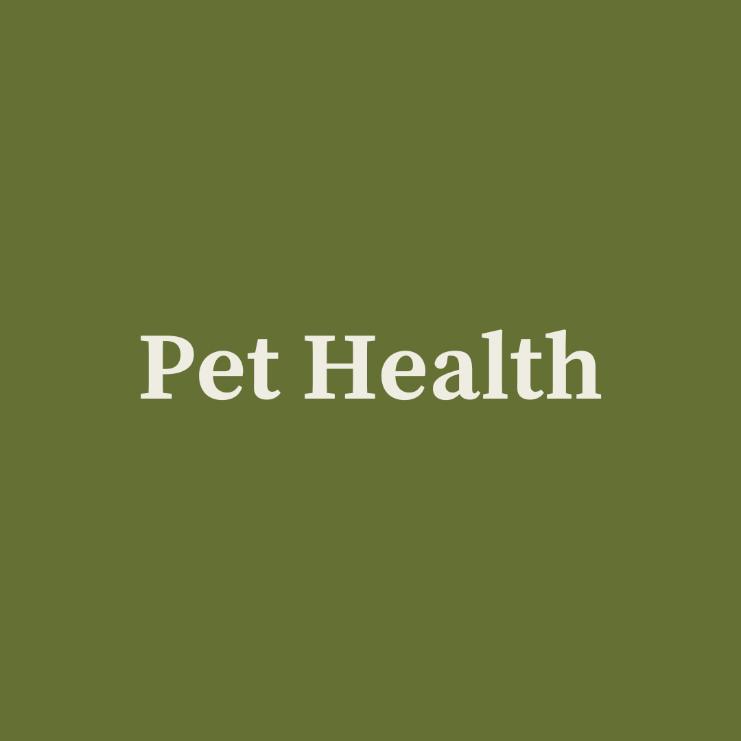 Pet Health