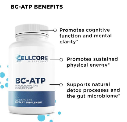 CellCore Biosciences Phase 2: Gut & Immune Support