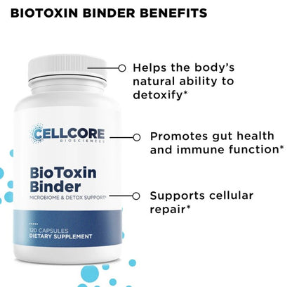 CellCore Biosciences Stomach Support Kit