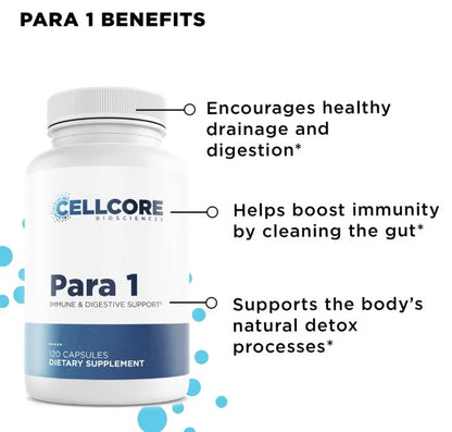 CellCore Biosciences Phase 2: Gut & Immune Support