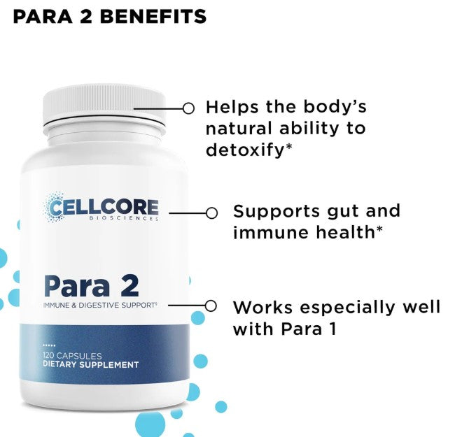 CellCore Biosciences Phase 2: Gut & Immune Support