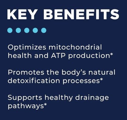 CellCore Biosciences Phase 1: Energy & Drainage