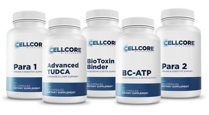 CellCore Biosciences Phase 2: Gut & Immune Support