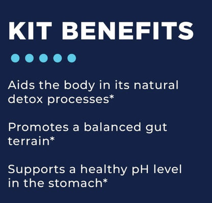 CellCore Biosciences Stomach Support Kit